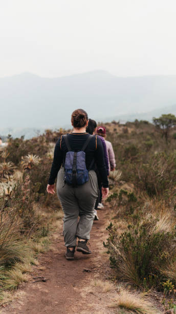 istock Group of adventurers walking through Colombian paramo 2041707894