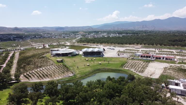 Drone footage of a wine house, what a view of the wineyard