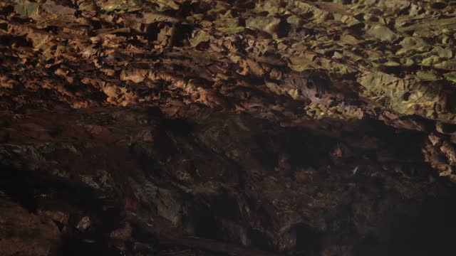 Colony of Little Bent-Wing Bats in cave at Natural Bridge near Gold Coast Australia