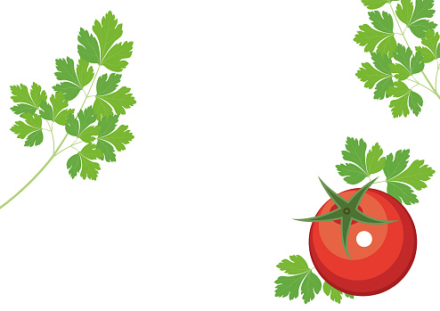 Parsley sprig and tomato in parsley leaves - background for design and print.