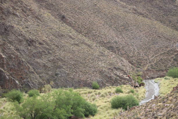istock Rural landscape and mountains in northwest Argentina 2041753783