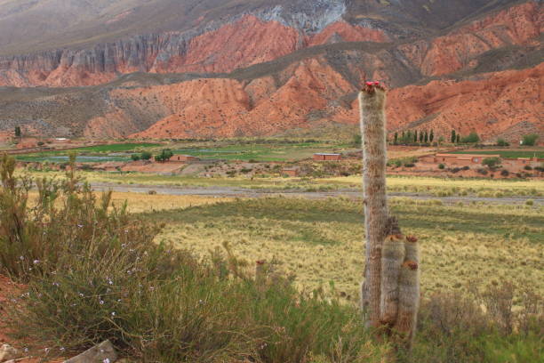 istock Rural landscape and mountains in northwest Argentina 2041780738