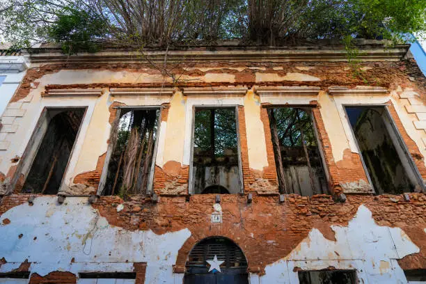 Old abandoned building with tree vines in the middle of Old San Juan Puerto Rico