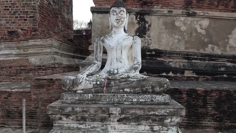 Serene Buddha Statue Timelapse