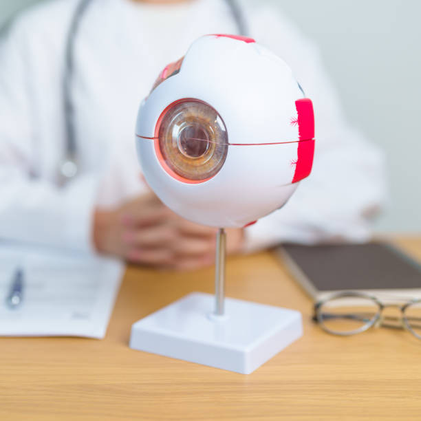 istock Doctor with human Eye anatomy model with magnifying glass. Eye disease, Refractive Errors, Age Related Macular Degeneration, Cataract, Diabetic Retinopathy, Glaucoma, Amblyopia, Strabismus and Health 2041904622