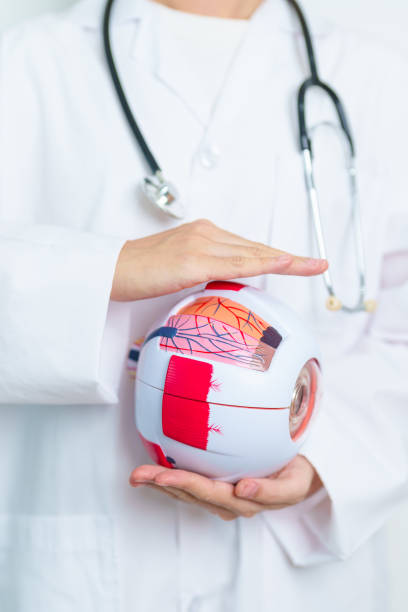 istock Doctor with human Eye anatomy model with magnifying glass. Eye disease, Refractive Errors, Age Related Macular Degeneration, Cataract, Diabetic Retinopathy, Glaucoma, Amblyopia, Strabismus and Health 2041906176