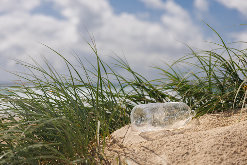 Plastic water bottle waste on beach