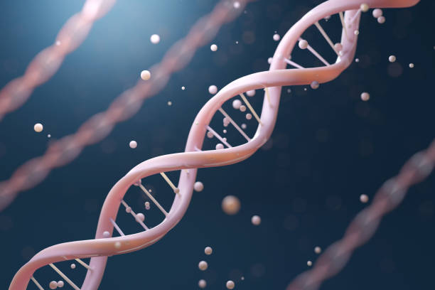 istock Pink DNA double helix or collagen and Elastin 2041925296