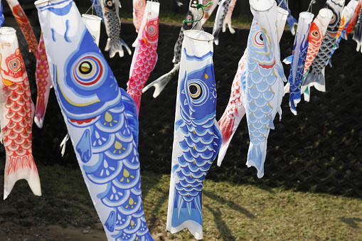 Carp streamers are hung at this location every year, entertaining the eyes of many people. The carp streamers displayed at this event were donated by citizens.