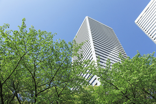 Although Osaka Business Park is a business district, it is surrounded by water and greenery and is located in a rich natural environment. In spring, fresh green trees gently color the inorganic buildings.