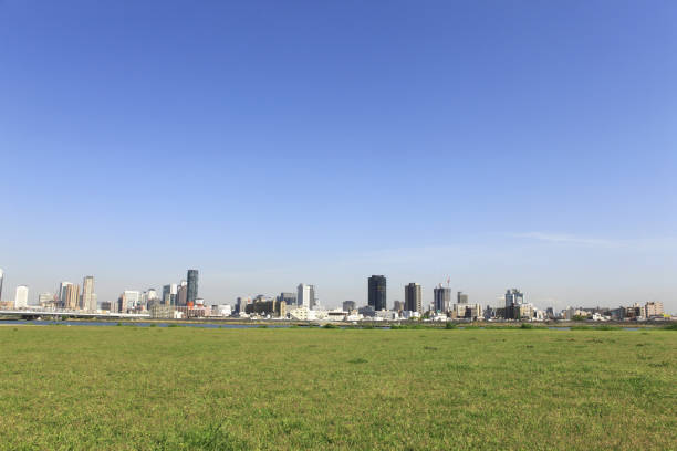 Umeda, one of Osaka's two major downtown areas, is home to some of Japan's largest commercial complexes and gigantic skyscrapers.