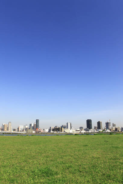 Umeda, one of Osaka's two major downtown areas, is home to some of Japan's largest commercial complexes and gigantic skyscrapers.