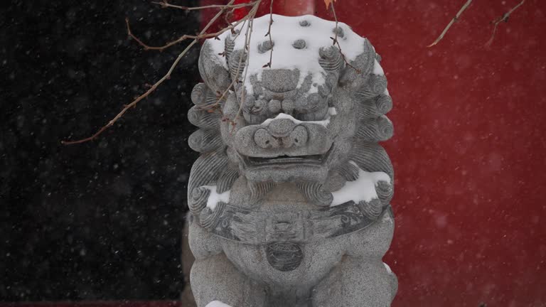 Snow covering lion statue,China