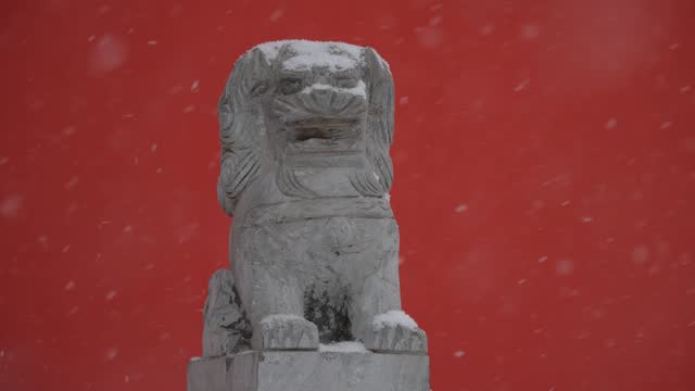 Snow covering lion statue,China