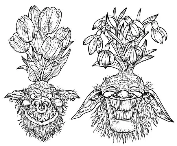 Vector illustration of Hand drawn engraved vector set with funny demon or gnome faces as roots of beautiful spring flowers of Galanthus and Tulip