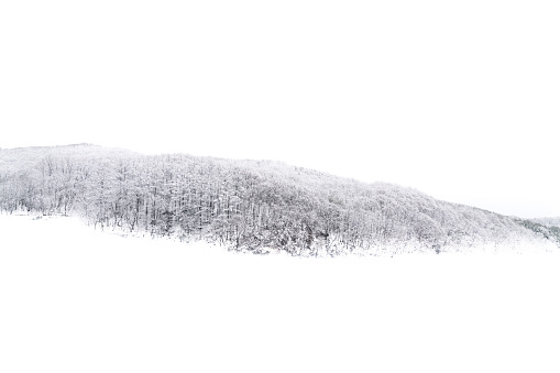 Snowy landscape, South Korea