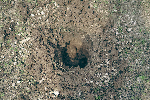 A hole in the ground that is dug into a hole. Top view