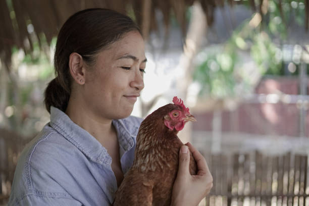 Close-up Woman holding a chicken in the garden
