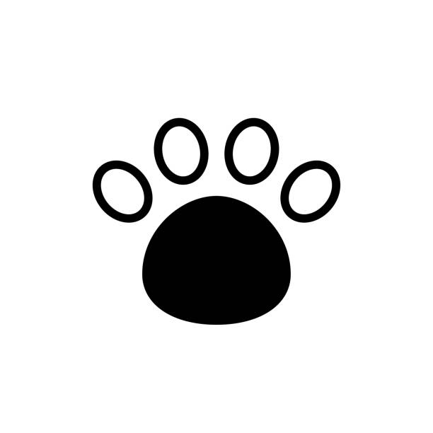 vector paw print icon - silhouette animal black domestic cat stock illustrations