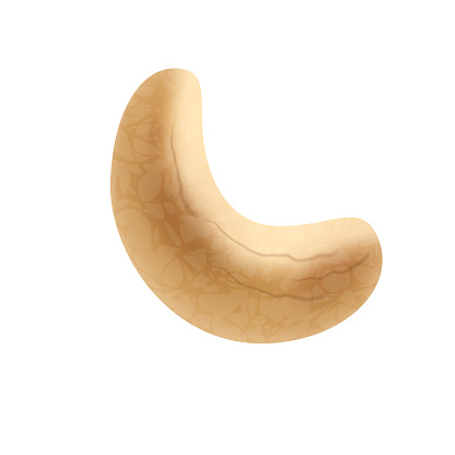 Vector cashew nuts illustration of delicious healthy vegan snack