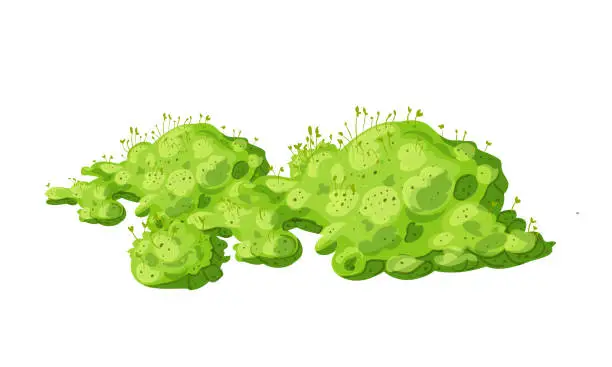 Vector illustration of Vector swamp moss, forest lichen. marsh plants for computer games