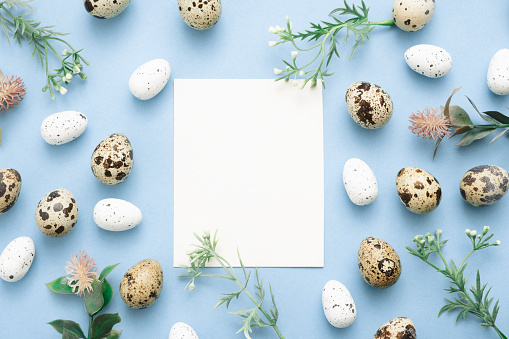 Festive Easter holiday greeting card concept. Easter Decoration with quail and white eggs, empty card and flowers on blue background. Copy space, top view, mockup