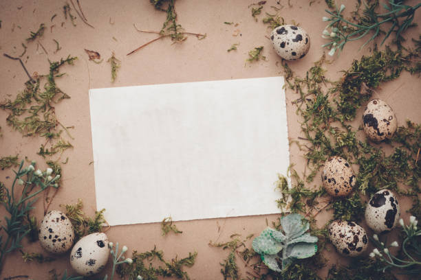 istock Easter background with white paper blank and easter quail eggs with moss and flowering branches on a craft paper background. Easter composition old toned. Copyspace mockup postcard 2042118386