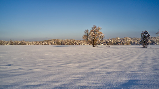 A snow-covered field with trees under clear skies, winter landscape