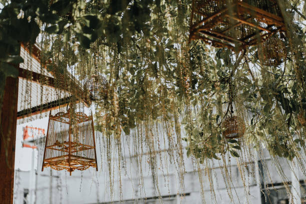 Wooden bird cage hang on tree