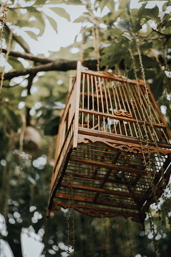 Wooden bird cage hang on tree