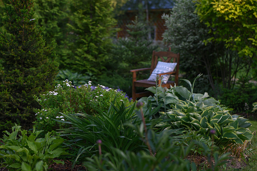 beautiful natural summer cottage garden view with wooden chair on background