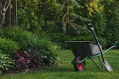 wheelbarrow-in-summer-day-in-beautiful-natural-country-garden-dacha-life-seasonal-work.jpg?b=1&s=170x170&k=20&c=Epj6s7xuVOMKoJuJTFj9vvApyiDBthBKXpeWeaS4M2w=