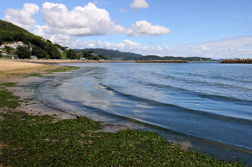 St Michael's Mount In Cornwall