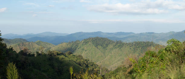 istock High mountain landscape with green trees 2042274174