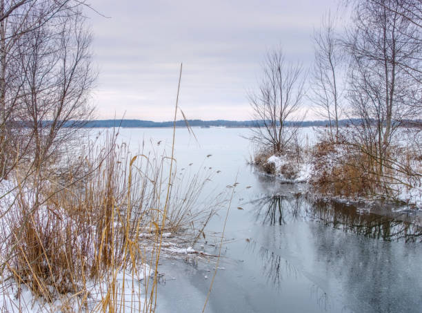 jezioro graebendorfer na pojezierzu łużyckim zimą - cottbus zdjęcia i obrazy z banku zdjęć