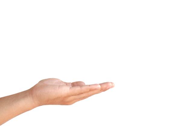 istock Male hands open and stretched forward on white background business concept. 2042302673