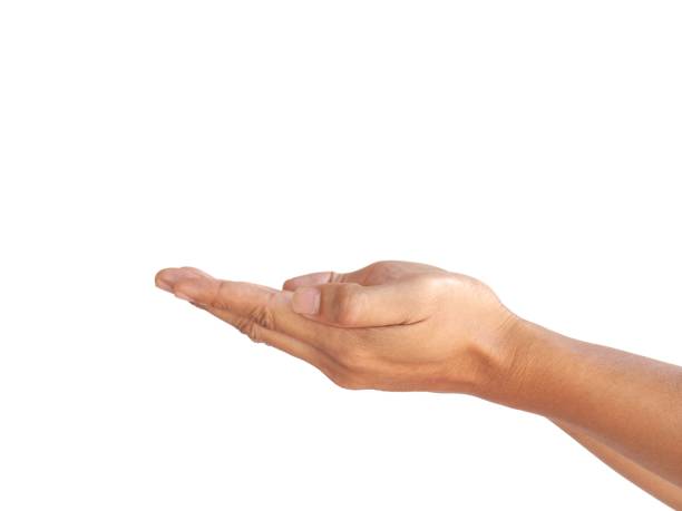 The man's hands open and stretched forward with two hands. On a white background business concept.