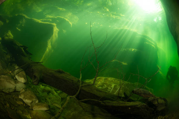 Underwater perspective