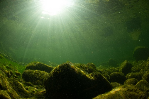 Underwater perspective