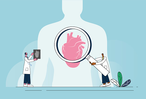 Two male doctors examining human heart, heart health protection concept illustration.