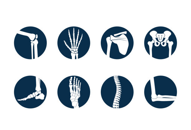 ikona kloubní ortopedie. - lidská paže stock ilustrace