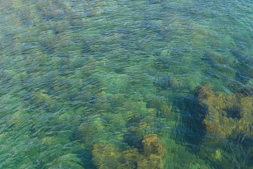 The water flow of the Niyodo River boasts outstanding transparency.
