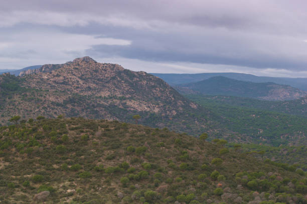 istock landscape, mountains, view, nature, plants, view, madrid, spain, flora, beautiful, 2042348488