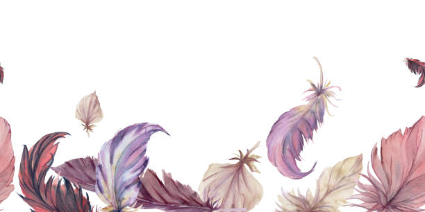 istock Hand drawn watercolor illustration bird feather plume quill boho tribal ethnic indian nature. Seamless banner isolated on white background. Design charm, dreamcatcher, scrapbooking, handmade, tattoo 2042354889