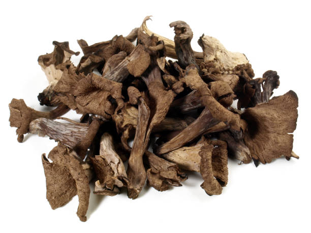 istock Dried Trumpet Mushrooms on white Background 2042361481