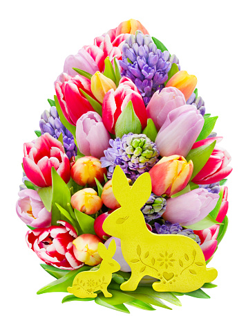 Easter decoration with tulips and Bunny  isolated on white background