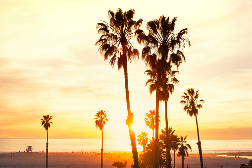 Sunset beach scene, California