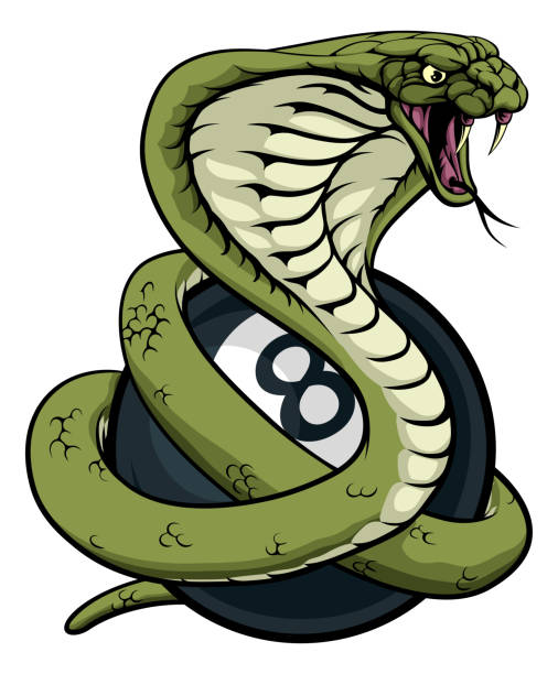 ilustraciones, imágenes clip art, dibujos animados e iconos de stock de cobra snake pool 8 bola billar mascota dibujos animados - cobra rey