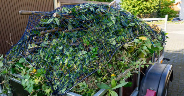 istock Green waste from the garden on a trailer 2042472769