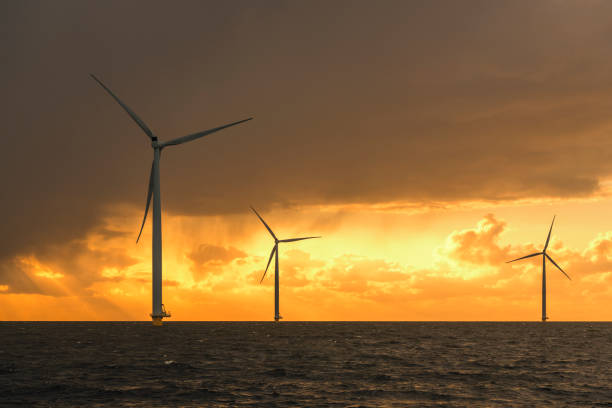 Wind turbines producing sustainable renewable energy in an offshore wind park in Flevoland, The Netherlands, during sunset